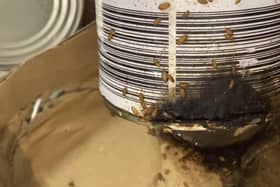 Maggots were spotted in the tin at the Aldi store