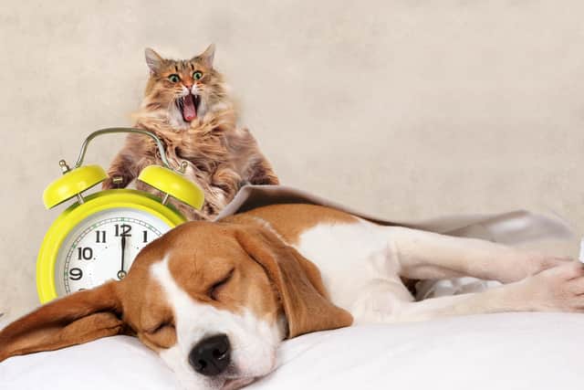 We'll get an extra hour in bed - unless you have pets demanding their morning food. Picture: Adobe Stock