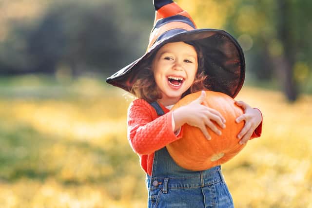 The Halloween Pumpkin Trail will take families sky high in the search for prizes. 
Photo: Adobe Stock for illustrative purposes only.