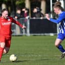 Connor Duffin, left, is on his way back from a knee injury.
Picture: Neil Marshall