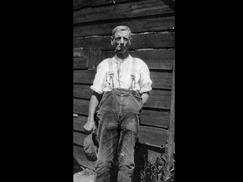 The last shepherd on Farlington Marshes, Harry Holcombe. It was not that many years ago that sheep were herded onto Farlington Marshes. To care for them, shepherds were needed and the last of these was Harry Holcombe. The 140 acre Masons Farm was his home. The photo was loaned by Jenny Vincent, his granddaughter. Harry Holcombe is pictured in his later years here, in about 1930.