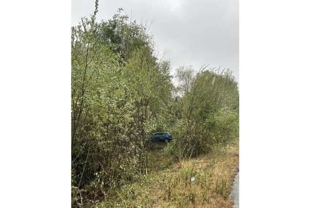 A family of four were rescued from the bushes on the A3 by firefighters. Picture: Hampshire and Isle of Wight Fire and Rescue Service.