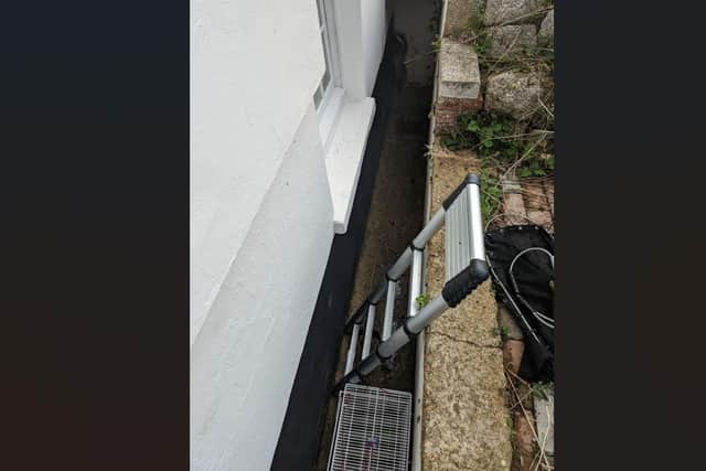 The badger was rescued by RSPCA officers.