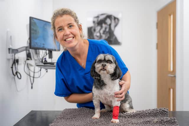 VetPartners vet Lisa Flood is sharing tips to help keep pets calm on Bonfire Night.