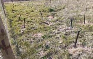 Portsmouth Water has said that vandals have damaged newly planted trees at Memory Park.Photograph: Portsmouth Water