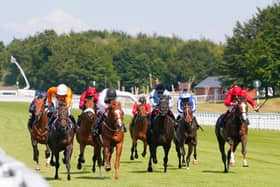 Action from a behind closed doors meeting at Goodwood last June. Photo by Mark Cranham/Pool via Getty Images