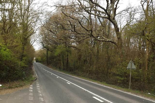 Hulbert Road between the Purbrook Way roundabout and the A3(M). Is this where the girl appeared?  Picture: Bob Hind.