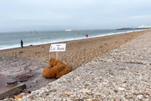 Mr Browne said he will continue his protest until Liz Truss resigns. Picture: Ben Mitchell/PA Wire.