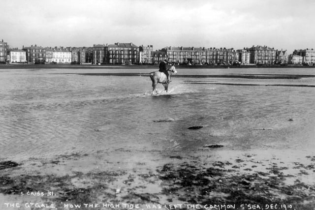 Rider after the storm - Southsea Common, December 1910. Hurricane force winds and a high tide on December 16th left the common flooded