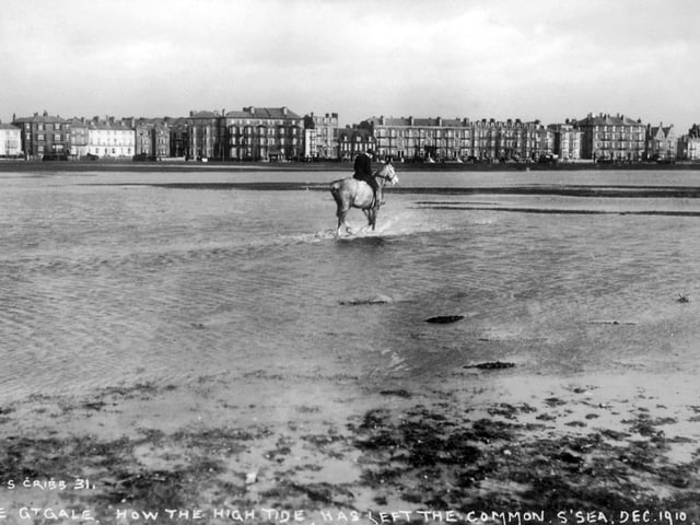 Rider after the storm - Southsea Common, December 1910. Hurricane force winds and a high tide on December 16th left the common flooded