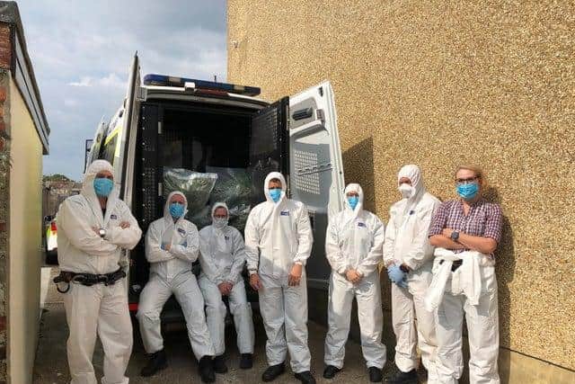 Police seized more than 300 cannabis plants from the Gosport address. Picture: Hampshire Constabulary