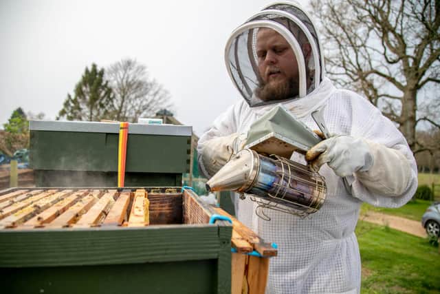 Weekend Cover story on what its like to be a bee keeper

Pictured:  Aaron Dancey using a  bee smoker to calm honey bees in West Ashling on 29th March 2022

Picture: Habibur Rahman