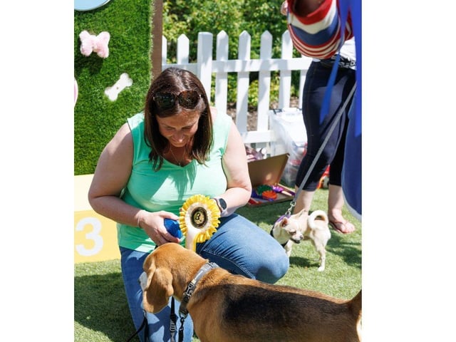 Charlotte and Bertie won 3rd place at Whiteley Doggie Day.