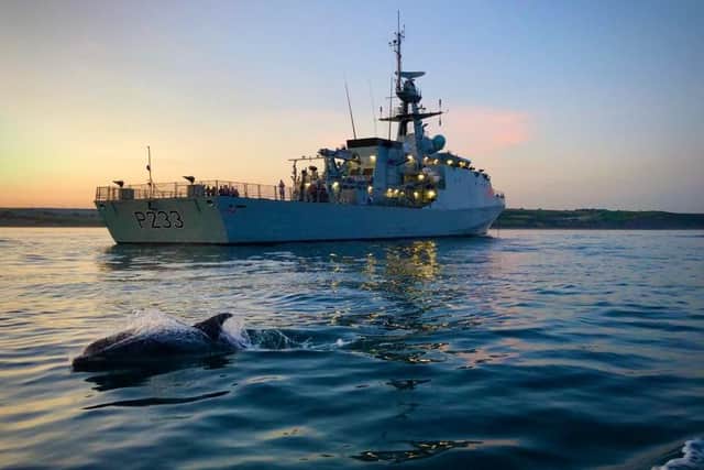 A pair of dolphins swim next to the Royal Navy's newest patrol ship, HMS Tamar while she was at anchor in Weymouth Bay. Photo: HMS Tamar/Twitter