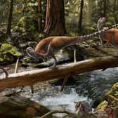 A painting depicting Vectidromeus insularis, a small plant-eating dinosaur. Scientists have found fossils of the dinosaur on the Isle of Wight. Picture via University of Portsmouth