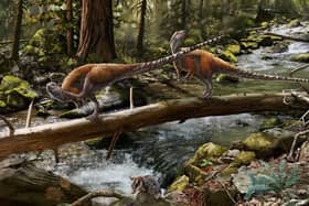 A painting depicting Vectidromeus insularis, a small plant-eating dinosaur. Scientists have found fossils of the dinosaur on the Isle of Wight. Picture via University of Portsmouth