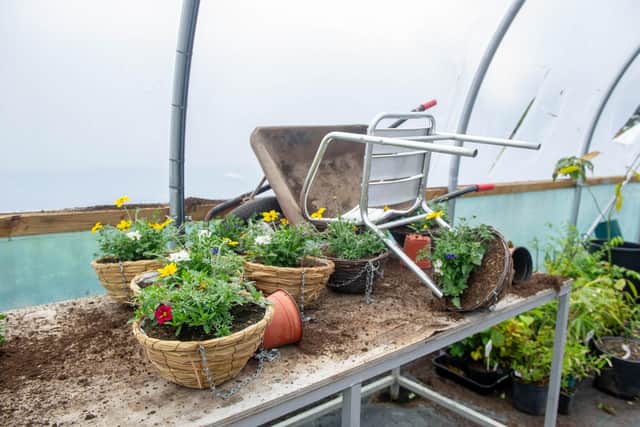 Inside the damaged polytunnel at Staunton Country Park. Picture: Habibur Rahman