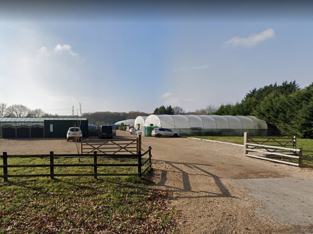 Neals Nursery, Fareham, has a Google rating of 4.7 with 93 reviews.