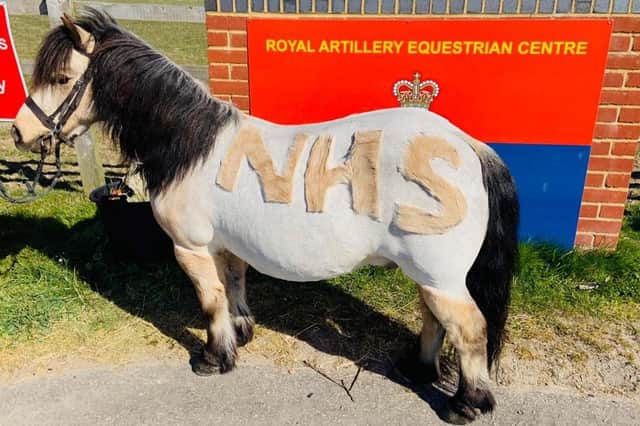 Lola Dymock, 13, wanted to say thank you to the NHS and so had the letters shaved into the side of her horse Kenco, with a love heart