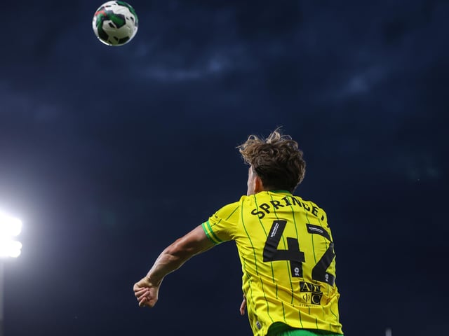 Signings: Tony Springett (Norwich - loan).