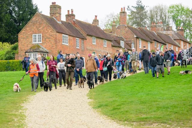 Hampshire dog lovers gather to meet Chris Packham at the Great British Dog Walk, Buckler's Hard