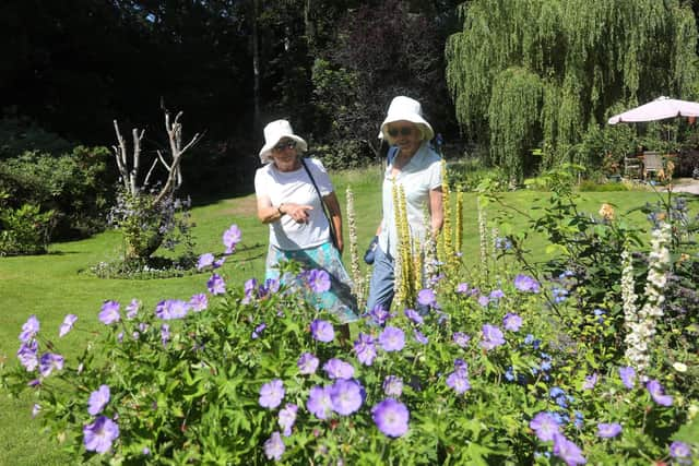 Swanmore Open Gardens in 2021 - West Lodge in Broad Lane
Picture: Sam Stephenson