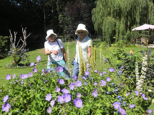 Swanmore Open Gardens in 2021 - West Lodge in Broad Lane
Picture: Sam Stephenson