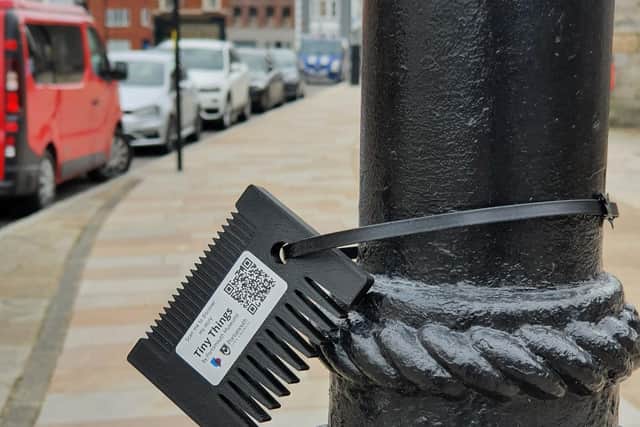 One of the 'tiny things' to be found around Old Portsmouth. Picture: Portsmouth City Council 