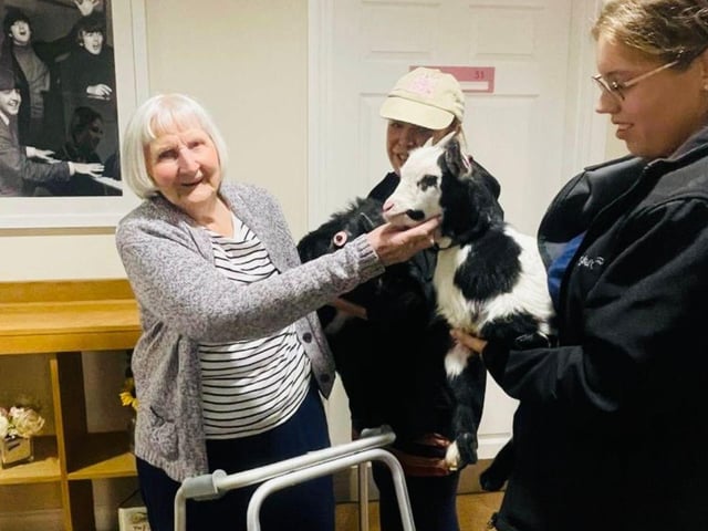 Denmead Grange care home residents had some unusual visitors as they were greeted by pygmy goats from Em’s Friendly Farm.