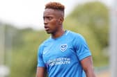 Jamal Lowe. Picture: Joe Pepler