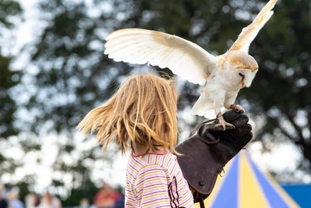 Hampshire Country Sports Day takes place at Bereleigh Estate, near Petersfield on Sunday, September 11, 2022