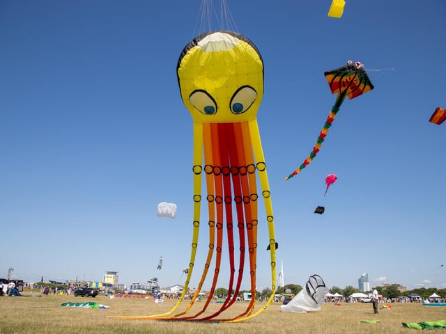 Pictured - Incredible kites on display at the Portsmouth Kite FestivalPhotos by Alex Shute