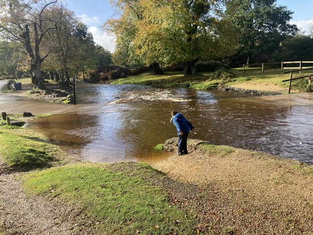 Great Hampshire days out