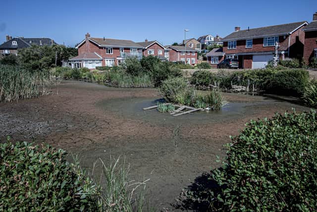 Elmore Lake in Lee-on-the-Solent
Picture: Habibur Rahman