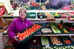 Co-owner of the business, Sue Ings, shows there is is no shortage of tomatoes at Ron White greencrocers, Marmion Road, Southsea. Picture: Chris Moorhouse (jpns 240223-25)