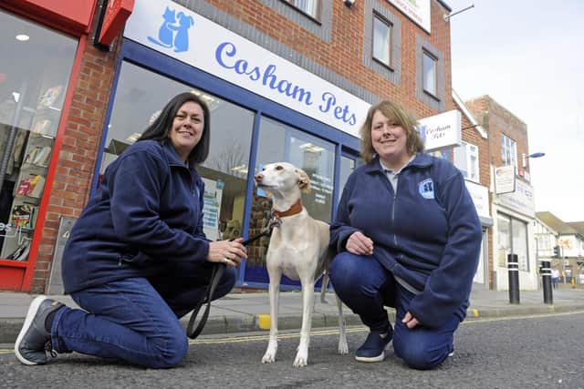(left), Sheila Kellaway with Beau and Lara McNally at Cosham Pets before the pandemic begun. Picture Ian Hargreaves (050220-1)
