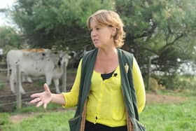 Environment Minister Rebecca Pow MP visited Warblington Farm in Havant which is set to become a nature reserve to reduce nitrogen pollution.

Picture: Sarah Standing (100920-3763)