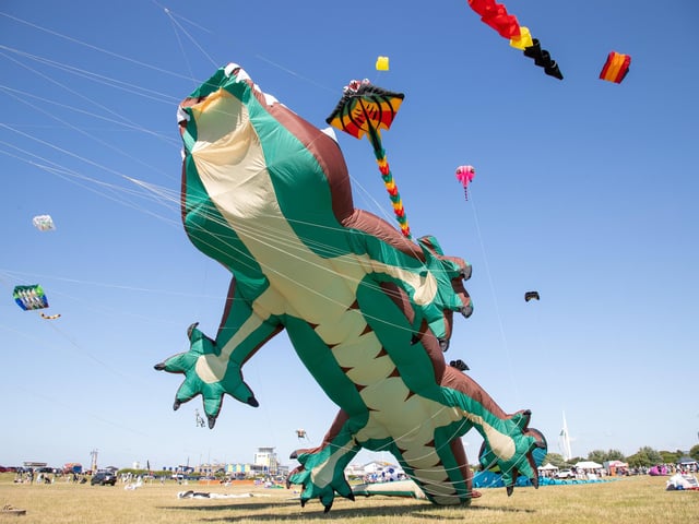 Pictured - Incredible kites on display at the Portsmouth Kite FestivalPhotos by Alex Shute