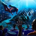 Dive the Mary Rose at this new 4D immersive experience