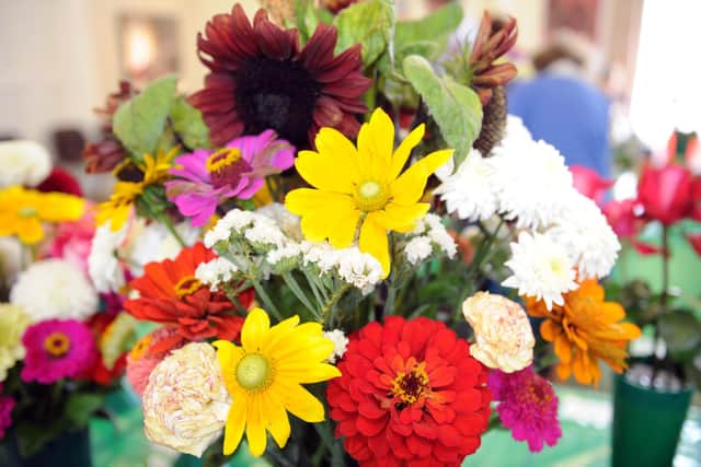 Prizewinning flowers from a previous Havant and District Horticultural Society summer show. Picture: Paul Jacobs (132175-6)