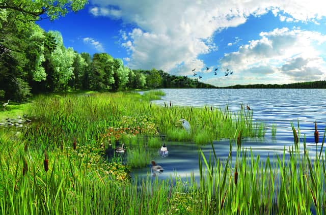 A mock-up of wetlands at the proposed reservoir