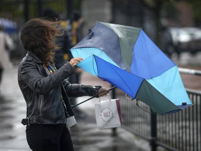 Wind. Photo by Christopher Furlong/Getty Images
