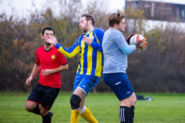 AC FC (blue/yellow) v Chichester United. Picture by Alex Shute