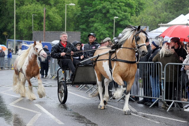 The annual Wickham Horse Fair took place on Friday, May 20, in Wickham Square and along Winchester Road, Wickham. Picture: Sarah Standing (200522-5558)