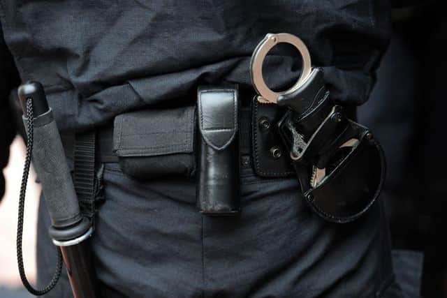 Police raided a Southampton home and rescued several dogs