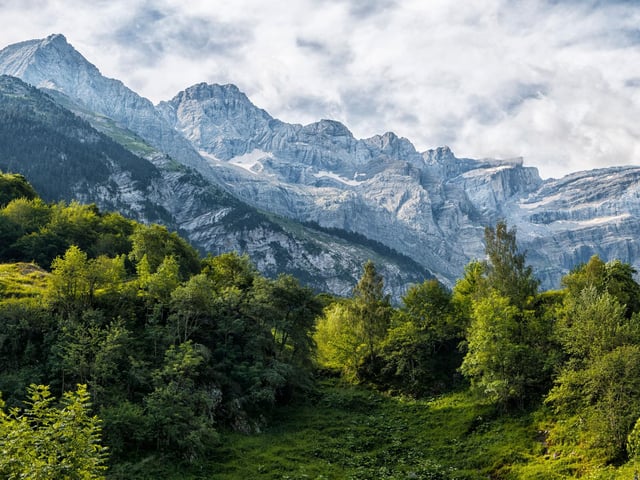 The French Pyrenees