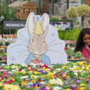 Dobbies in Havant will be hosting a free sustainable workshop on Sunday, June 5, especially created for kids in celebration of Peter Rabbit’s 120th birthday. Picture: Stewart Attwood