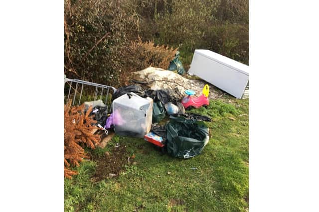 Some of the rubbish left dumped by a man from Havant