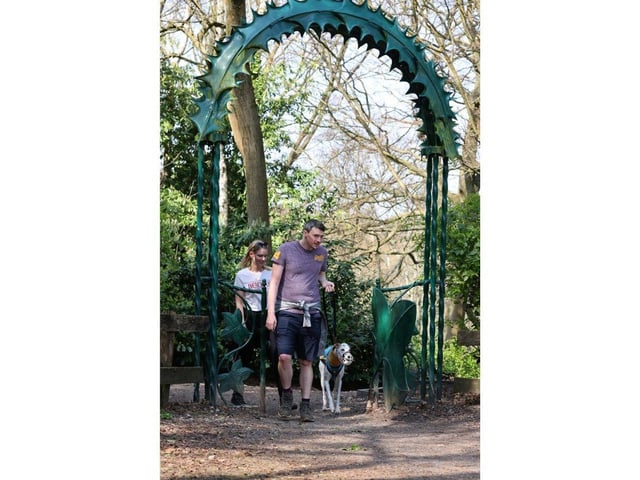 Pictured is Sam Richardson, Elizabeth Dunn-Clayton and their dog Seb.
Picture: Sam Stephenson.