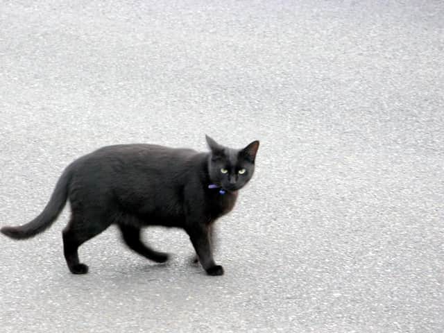 Today is Friday the 13th.